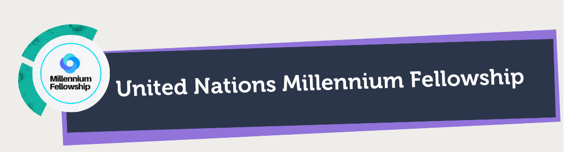 United Nations Millennium Fellowship