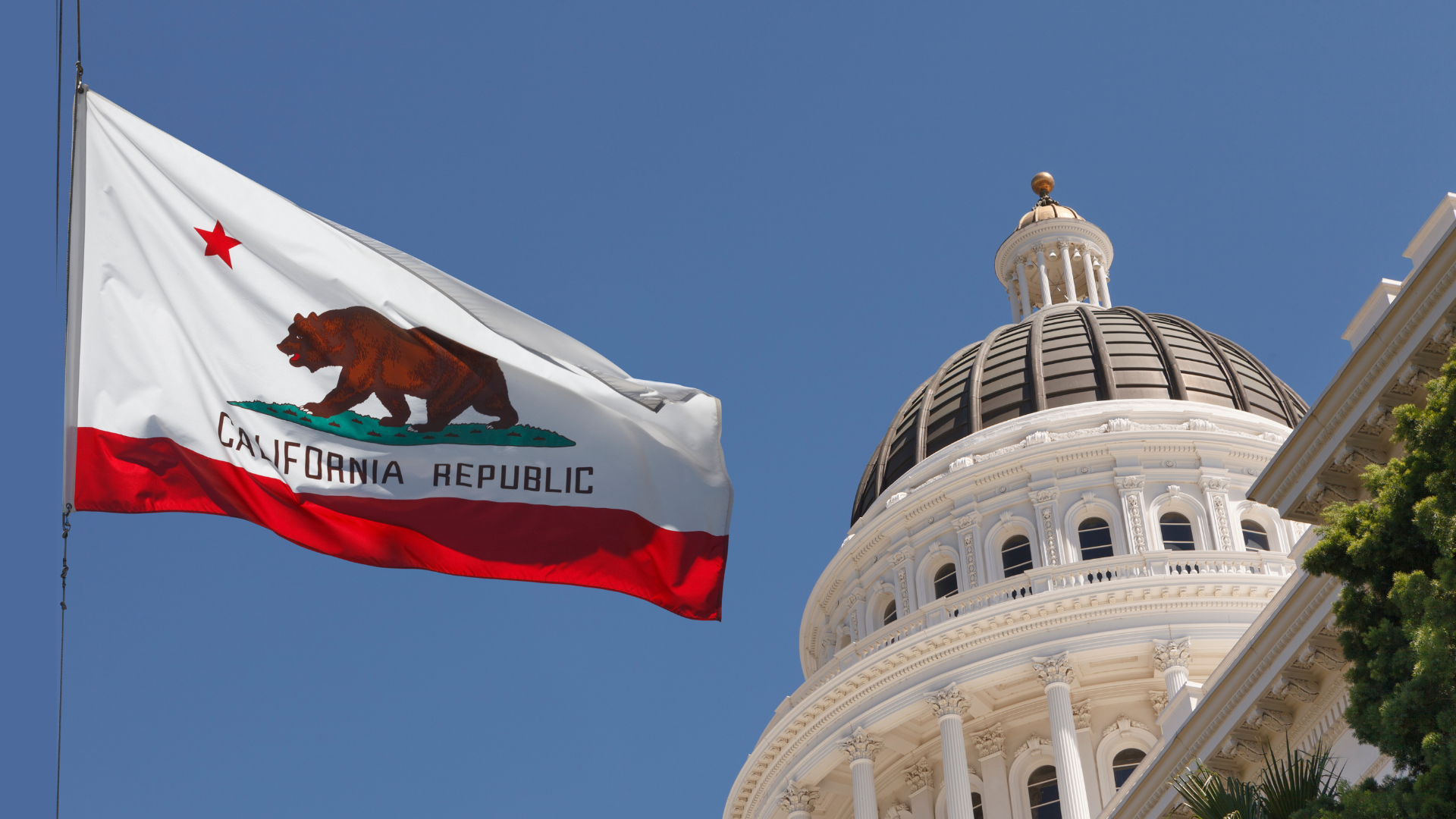 The dome of the California State Capitol building with the flag of California. The Sexual Violence Prevention Association (SVPA) urges California to prevent state sexual violence. A years-long investigation found that sexual violence was widespread and unmitigated in Califonia prisons. Elected officials must take action. The SVPA is demanding the California prison system significantly improve prevention measures. We are also endorsing two bills, AB 464 and SB 337.